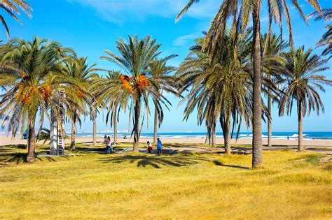 valencia playa|10 Best Beaches in Valencia